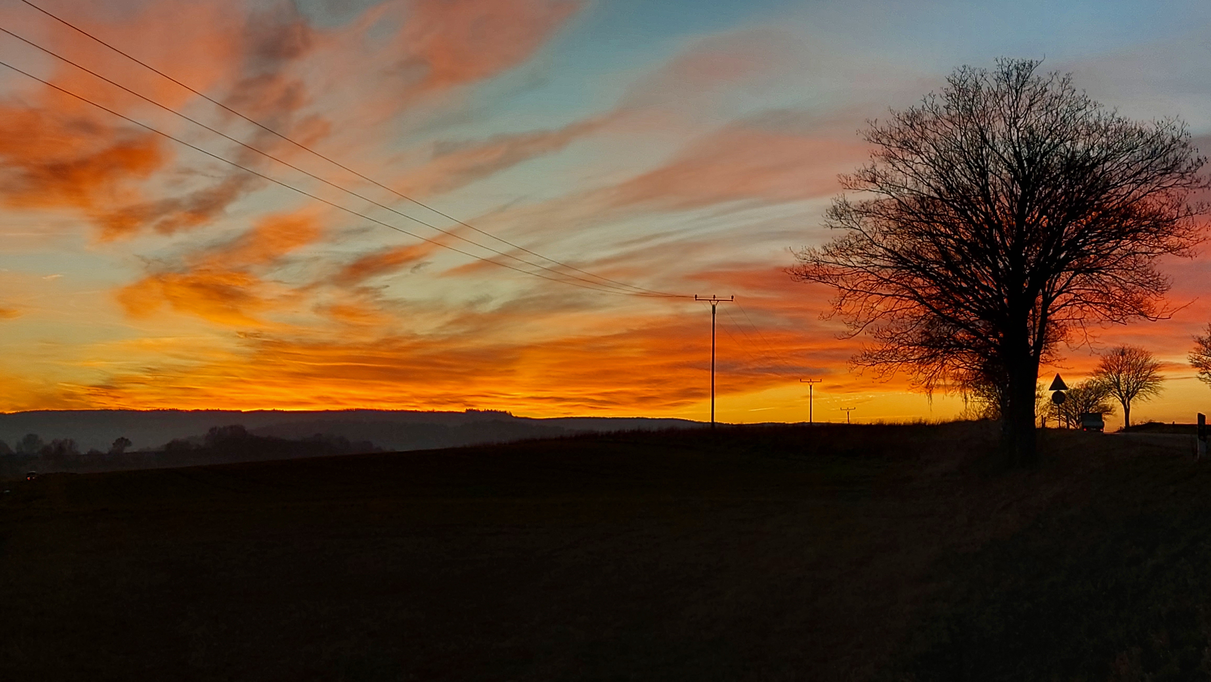Landschaft in Heimbach mit Baum im Sonnenuntergang